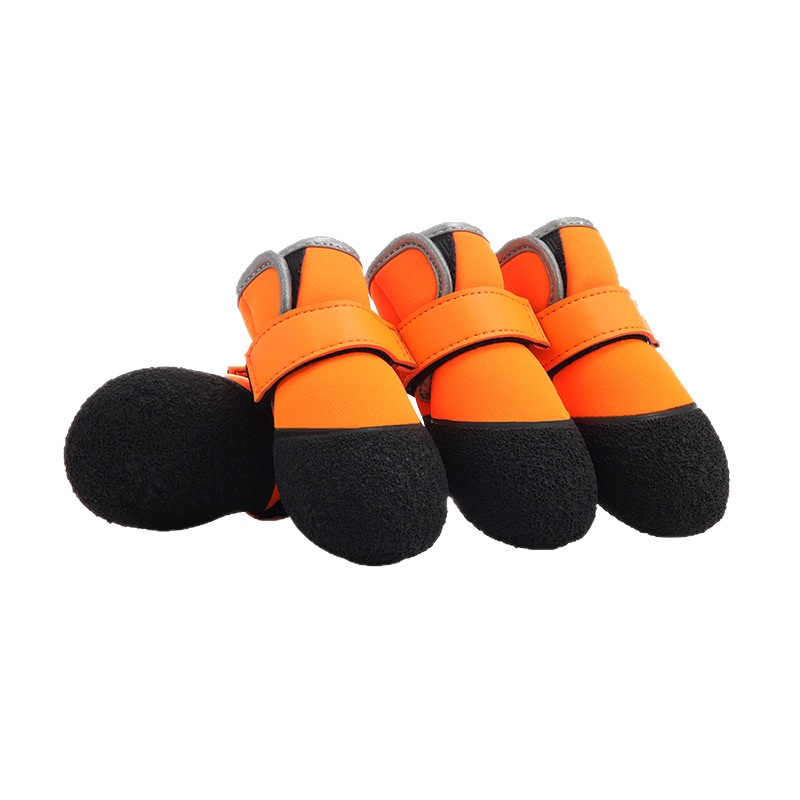 https://oss-cf.cjdropshipping.com/product/2026/10/19/02/126c804e-5c7d-4fe2-9f3a-d298bc50df38_trans.jpeg