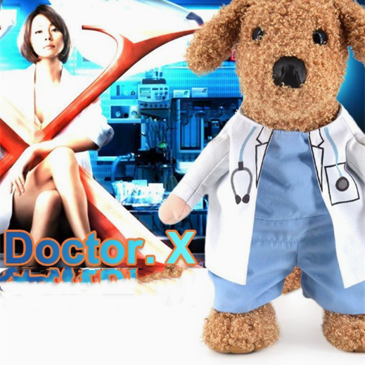 Funny Clothes Funny Knife-wielding Outfits Pranks Dogs And Cats