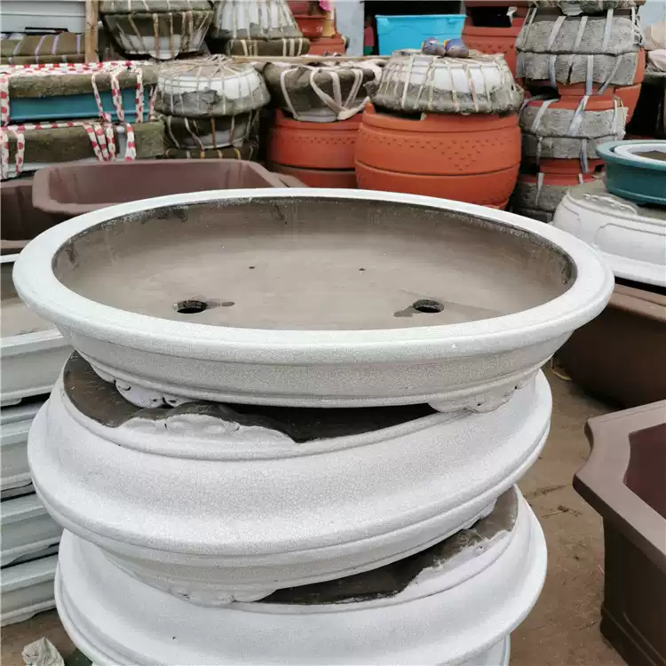 https://oss-cf.cjdropshipping.com/product/2026/10/25/03/bc3fe7be-41b9-43ef-aadc-5a55c9088d8b.jpg