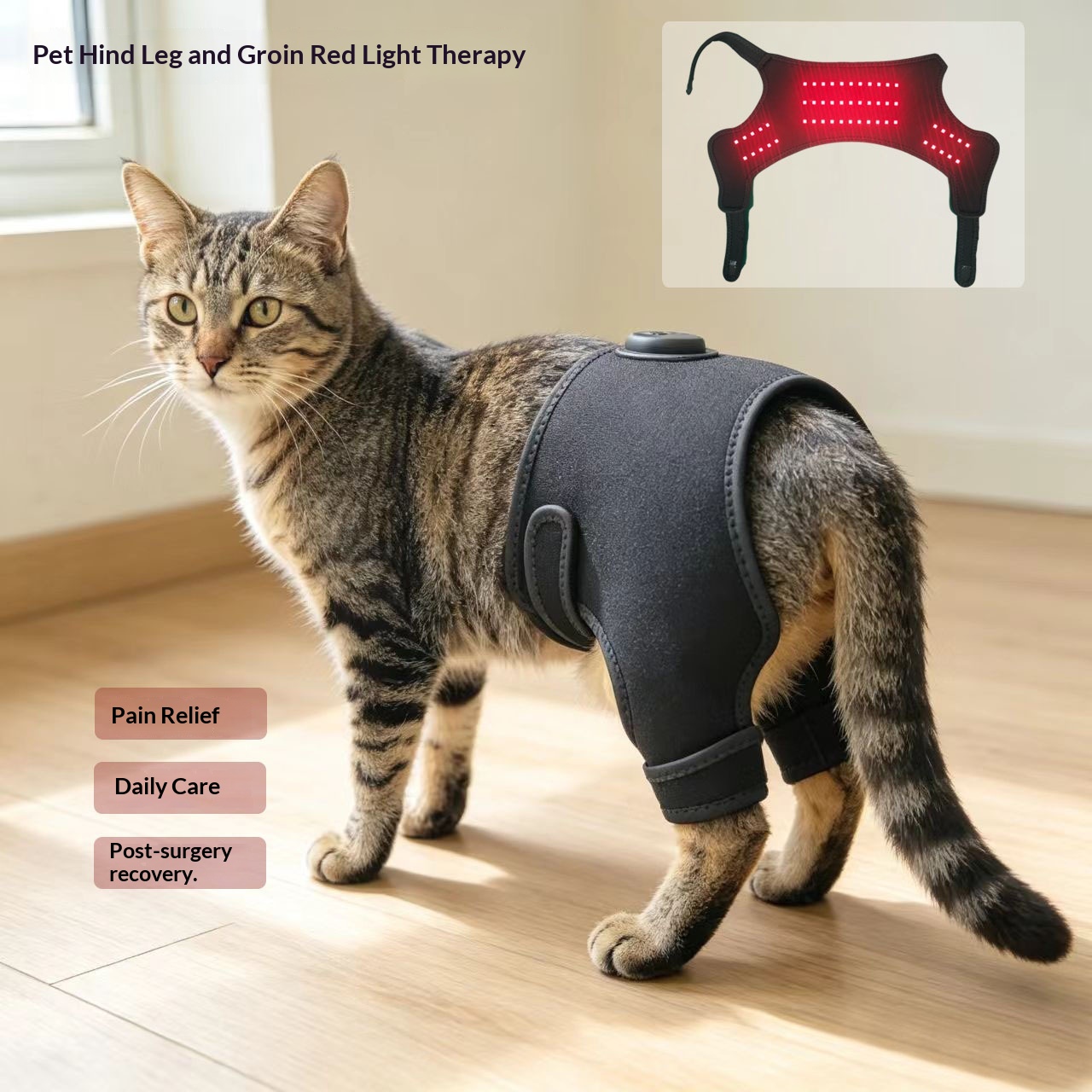 Curea de terapie fizică cu lumină roșie Pet Hind Crotch
