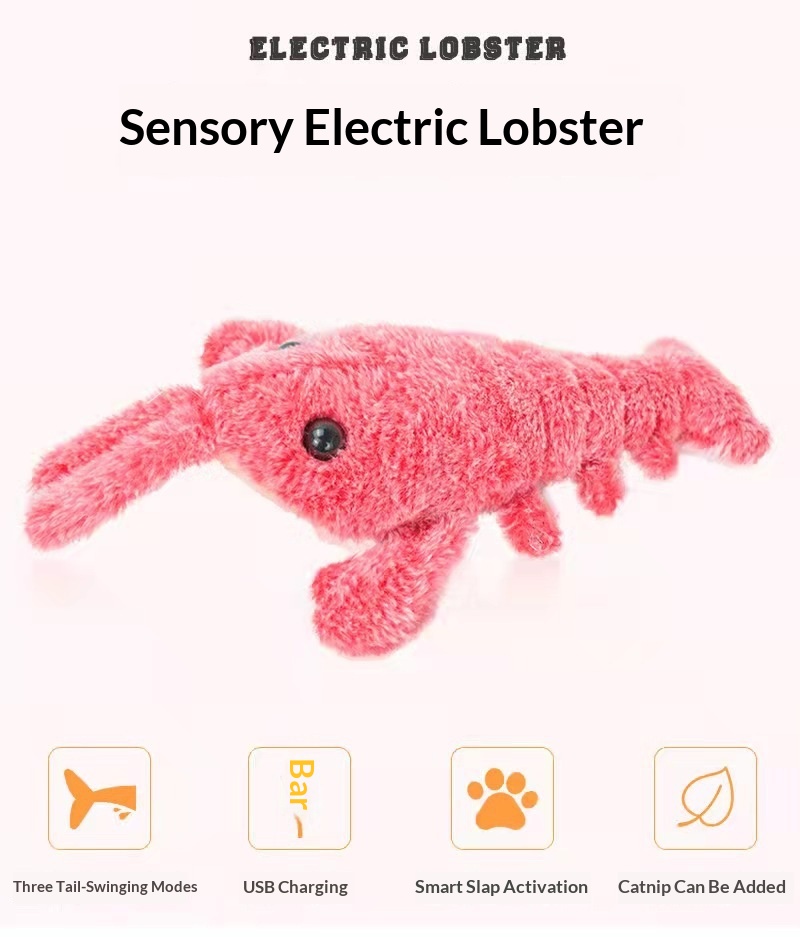 https://oss-cf.cjdropshipping.com/product/2026/10/26/23/629ecaf3-90f1-495e-83e3-1eeb0ee7b76c_trans.jpeg