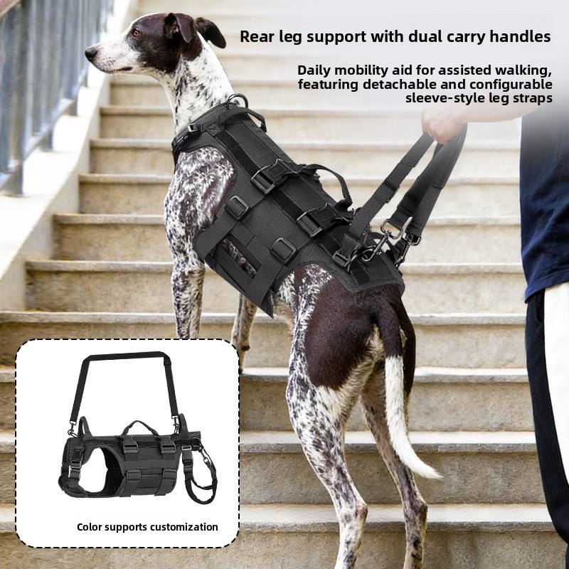 https://oss-cf.cjdropshipping.com/product/2026/10/28/05/f32ae82a-3f0d-4dea-91d4-65abf236b7fb.jpg